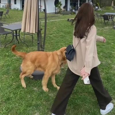 我妈妈的婚礼
